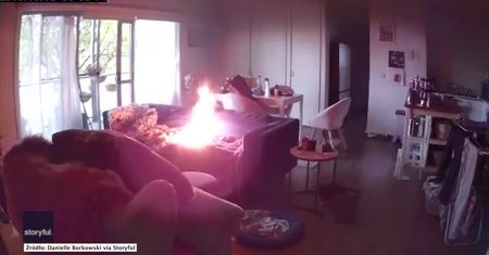 Australijski “hot dog”. Młody buldog bawił się zapalniczką i wzniecił pożar