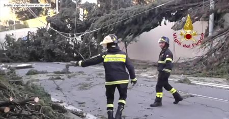 Powalone drzewa na ulicach Rzymu. Porywisty wiatr spowodował duże straty we Włoszech