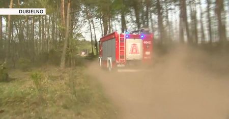 Strażacy i leśnicy apelują o ostrożność w czasie suszy