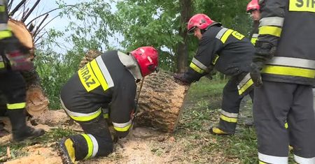 Nawałnica łamała drzewa i zrywała dachy w Wielkopolsce