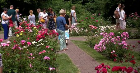 17. Festiwal Róż w Ogrodzie Botanicznym Uniwersytetu Warszawskiego