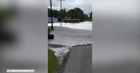 Bezmyślność kierowcy szkolnego autobusu