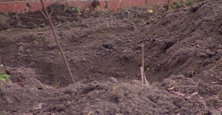 Szczątki czterech noworodków na posesji w Ciecierzynie. Zarzuty dla matki, ojca i dziadków dzieci