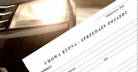 27 ZARZUTÓW, PONAD 300 TYSIĘCY ZŁOTYCH STRAT. SPRAWA OSZUSTA MA FINAŁ W SĄDZIE