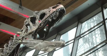 Szkielet dinozaura za miliony euro. Spektakularna aukcja na Wieży Eiffla