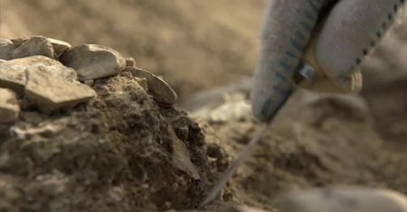 Odnaleziono szkielet wieloryba sprzed 10 mln lat. Zachowany w dobrym stanie, ale bez głowy