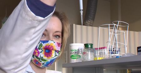 Naukowcy z PAN w Poznaniu opracowali pierwszy polski test genetyczny różnicujący COVID-19 i grypę