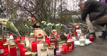 Zoo w Krefeld otwarte po tragicznym pożarze małpiarni, w którym w wigilię zginęło 30 rzadkich małp