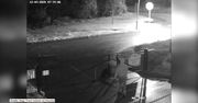 Chory rottweiler pozostawiony przed bramą schroniska. Spędził tam całą noc