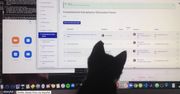 Trudy pracy w domu. Ciekawski kot poluje na… kursor