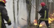 Trwa walka z pożarami lasów na Ukrainie. Strażacy korzystają z samolotów i specjalistycznego pociągu
