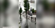 Tajfun Haishen nad Japonią. Zginęła jedna osoba, cztery zaginione