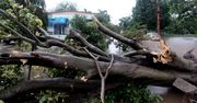 Około 200 tys. ludzi zostało bez prądu po przejściu burzy tropikalnej przez Puerto Rico
