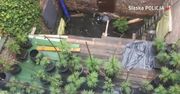 Plantacja marihuany odkryta przy pomocy drona. Sukces katowickich policjantów