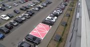 Burza wokół miejsc parkingowych dla kobiet w ciąży. “Przesada. Ciąża to nie jest choroba”