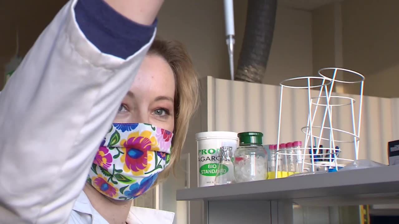 Naukowcy z PAN w Poznaniu opracowali pierwszy polski test genetyczny różnicujący COVID-19 i grypę