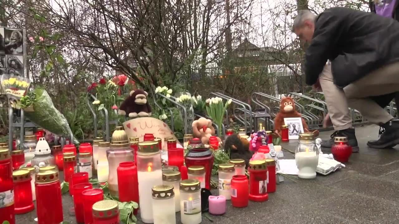 Zoo w Krefeld otwarte po tragicznym pożarze małpiarni, w którym w wigilię zginęło 30 rzadkich małp