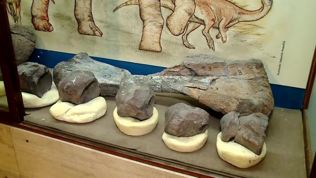 W Argentynie odkryto skamieliny ostatnich dinozaurów na Ziemi. Żyły one około 70 mln lat temu