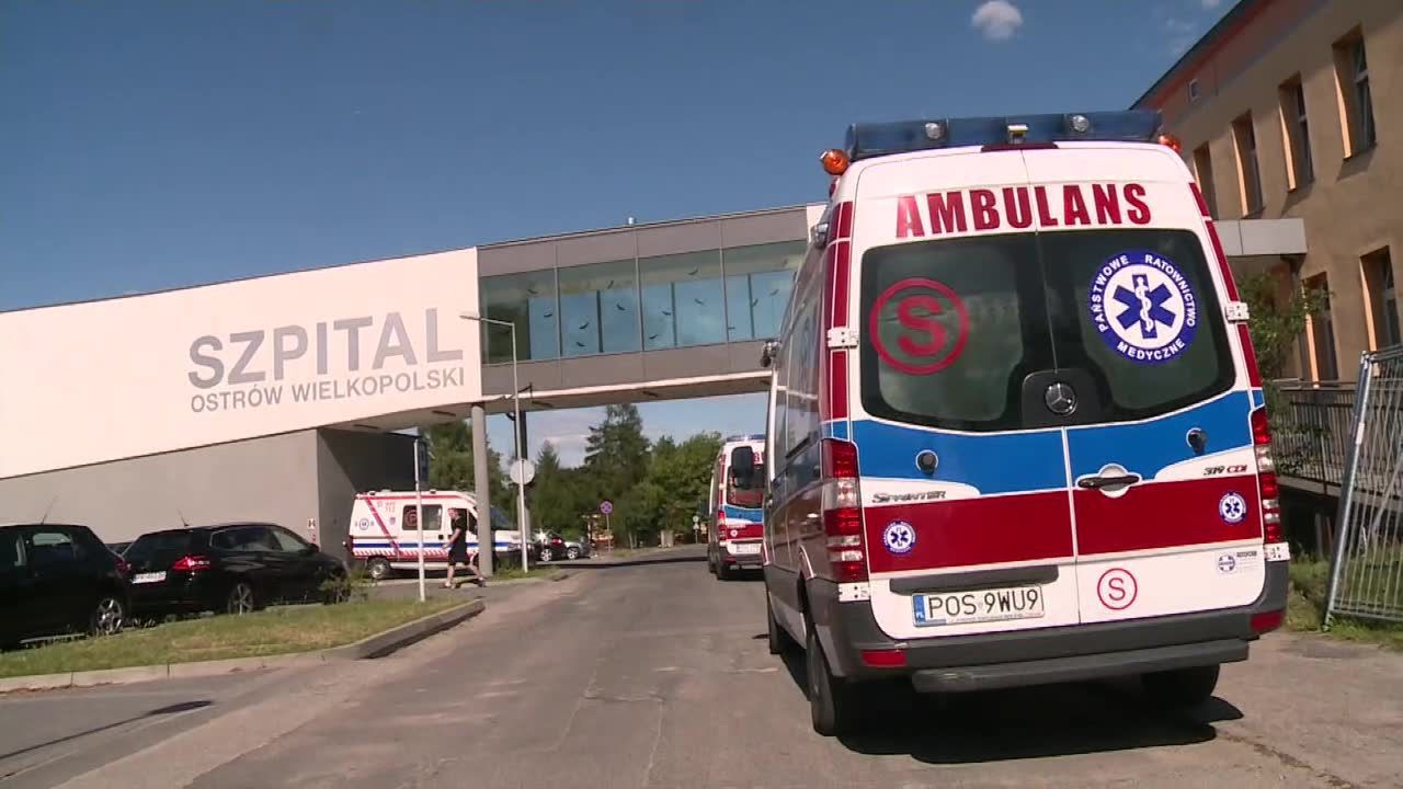 Pies zaatakował i pogryzł siedmioletnie dziecko. Chłopiec trafił do szpitala