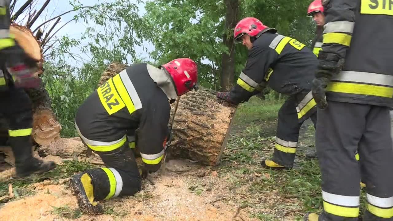 Nawałnica łamała drzewa i zrywała dachy w Wielkopolsce