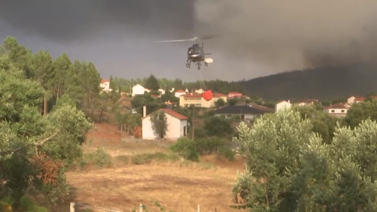 33 osoby ranne w pożarach lasów w Portugalii. Ogień wybuchł w wyniku podpalenia