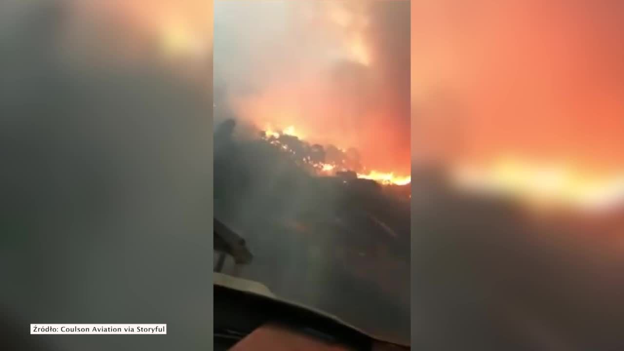 Pilot śmigłowca przeleciał tuż nad płomieniami. Akcja gaśnicza w stanie Wiktoria w Australii