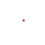 ZOOM TV