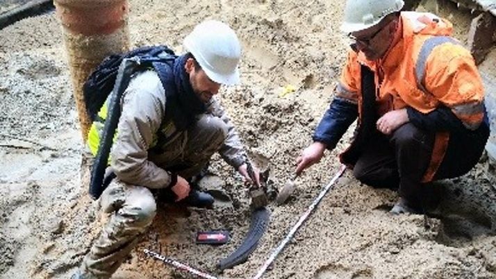 Szczątki tura znaleziono podczas budowy stacji na Brudnie