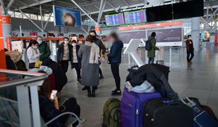 Narodowa afera o #LotDoDomu. "Nie zaserwowano im krewetek tygrysich" [OPINIA]