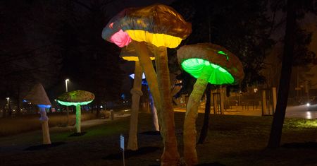 Wrocław będzie taki tylko przez chwilę. Zobacz magię