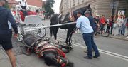 Dorożkarski koń przewrócił się pod Wawelem. "Nie zamierzacie nic z tym robić?!"