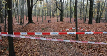 Znaleziono zwłoki niedaleko miejsca piknikowego w Katowicach. Na ciele są rany