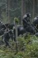 ''War of the Planet of the Apes'': Gabriel Chavarria walczy z małpami