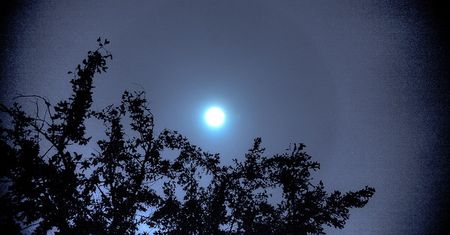 Księżyc, Jowisz i Aldebaran razem na niebie
