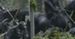 ''War of the Planet of the Apes'': Gabriel Chavarria walczy z małpami