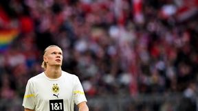 Tak Bayern zabiegał o Haalanda! Poznaliśmy kulisy
