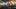 Disco Elysium na konsole to bałagan. Twórcy: obwiniajcie nas