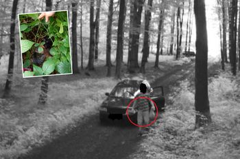 Fotopułapka wszystko nagrała. Porzucił je "pod okiem" kamery