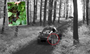 Fotopułapka wszystko nagrała. Porzucił je "pod okiem" kamery