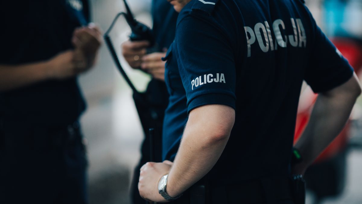 wpwiado policja
