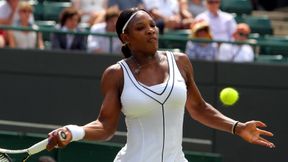 Fed Cup: Przed półfinałami