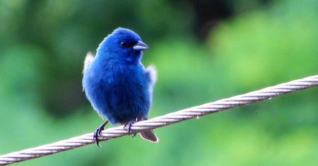 Thunderbird 60 wreszcie dostępny jako wersja stabilna – czekali na nią nieliczni