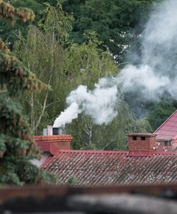 Astma, niższe IQ i nowotwory. Smog niszczy zdrowie naszych dzieci, a tej zimy może być naprawdę źle