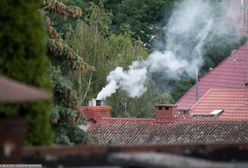 Astma, niższe IQ i nowotwory. Smog niszczy zdrowie naszych dzieci, a tej zimy może być naprawdę źle