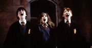 Harry Potter. Jak dobrze znasz bohaterów kultowej serii filmów?