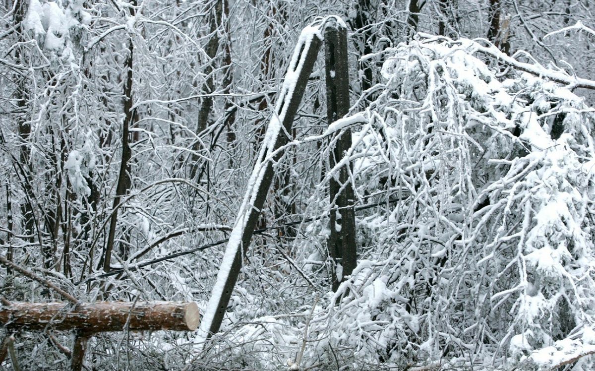 Podkarpacie. Śnieg uszkodził linie energetyczne. 40 tys. gospodarstw bez prądu