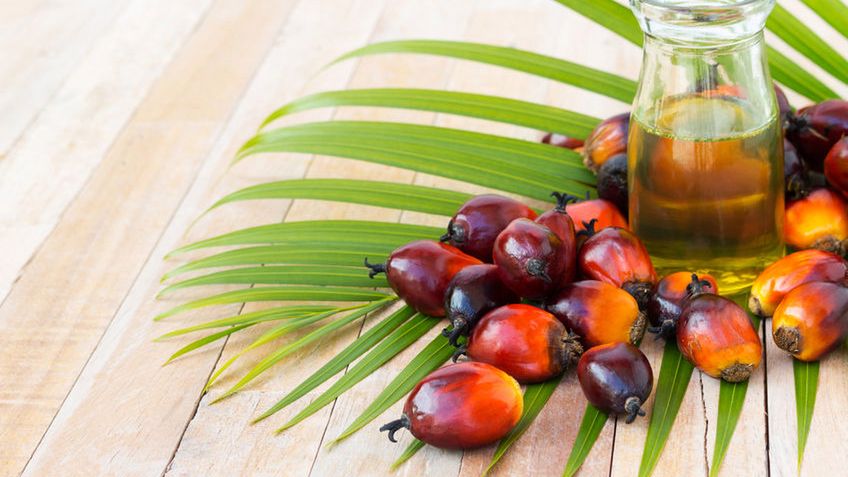 Olej palmowy - produkcja, właściwości, kalorie i wartości odżywcze