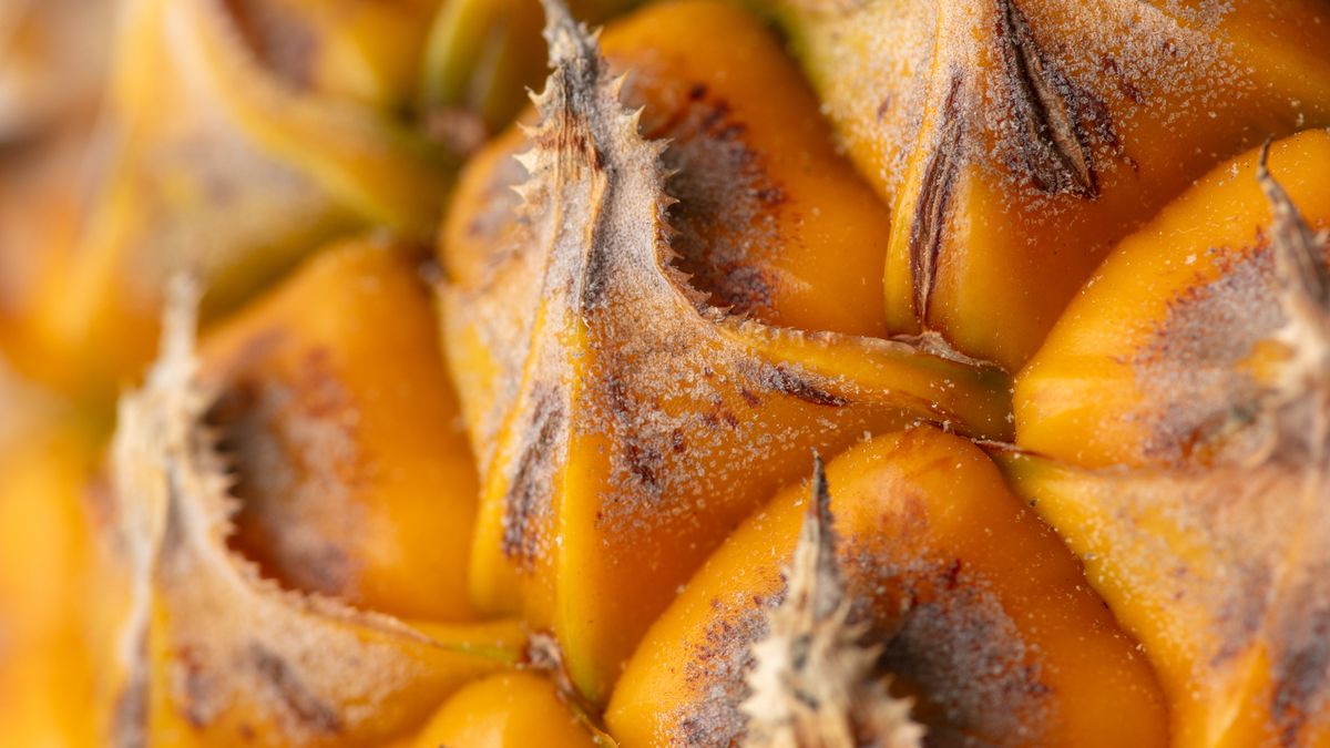 Zamiast do śmieci, wrzuć do herbaty