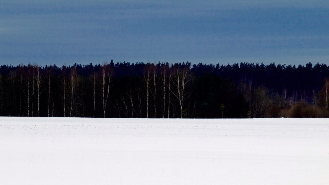 Estońskie barwy narodowe: krajobraz inspiracją dla flagi? (źródło: Wikimedia)