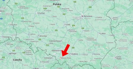Jadowity pająk na Śląsku. Nosferatu nie tylko w kinach